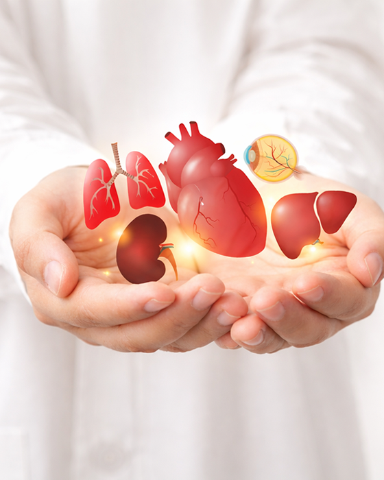 UAE Government Issues a Federal Decree-Law amending certain provisions of the Law on the Donation and Transplantation of Organs and Tissues